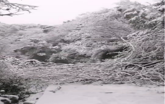 戰(zhàn)暴雪、保供電！湖南發(fā)展鳥(niǎo)兒巢公司應(yīng)對(duì)極端天氣緊急搶修失電故障